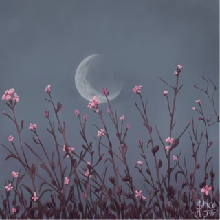 записки путника