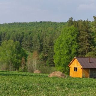 Девушка и Лес 🌱
