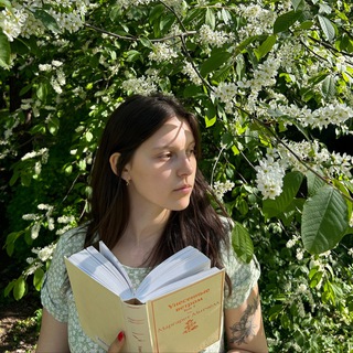 книжные лапки-царапки 📚🐾