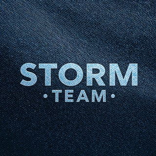 𝗦𝘁𝗼𝗿𝗺 𝗧𝗲𝗮𝗺 / Заработок на отзывах