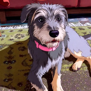 Канал собаки Зарбы 🐶 Интересное про собак и кошек!