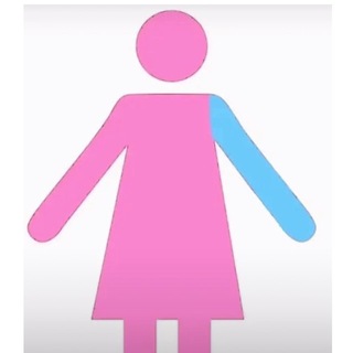 механізми і ритуали