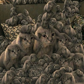 канал зайронекса