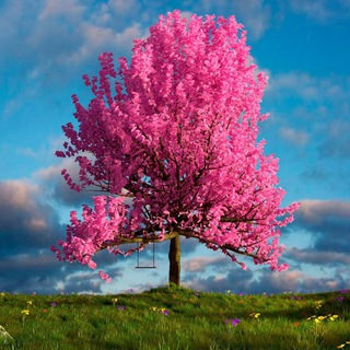 Почувствуй свою Магию💌 Энергия Денег💚🍀🍀💸💰