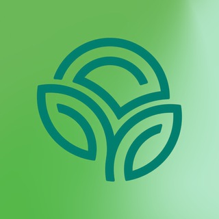 Осознанное Здоровье