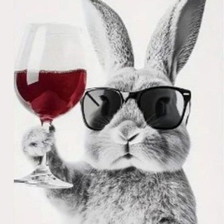 Вино и мир до 500🐍