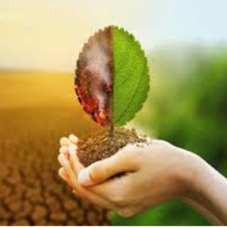 Наше здоровье