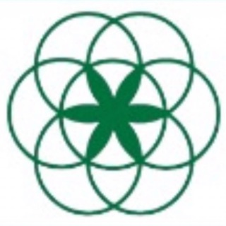 Аппаратный вакуумный массаж