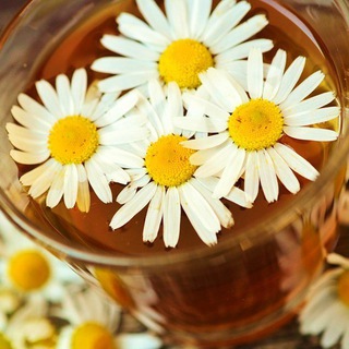 ЗДРАВНАСТРОЙ