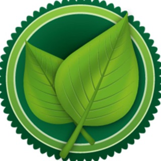 Путь к Здоровью: Советы и Рецепты 🌱