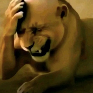 десятьзвёзд prod.