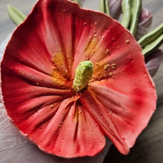 Зефирные цветы. Десерт на заказ Санкт-Петербург