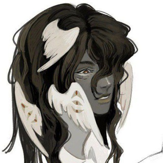 zᴇᴋᴏra || РЕКВЕСТЫ