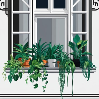 Зелëные Окна🌱