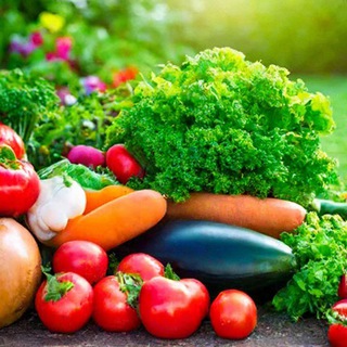 Зелёные акценты 🌾