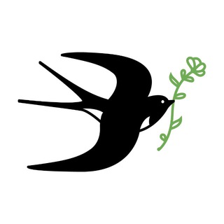 цветы "зеленогорск" (оптовая база) ❀