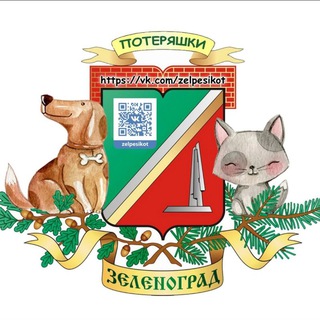 Потеряшки Зеленограда🐶🐱
