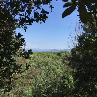 Наша планета Земля. Клуб единомышленников по восстановлению плодородия