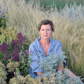 Экспертный блог Елены Поляковой.