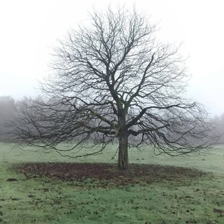 земля лежит на земле