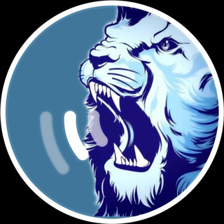 Питерские львы | Фк Зенит