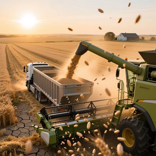 ЗЕРНОВОЗЫ | РЕЙСЫ