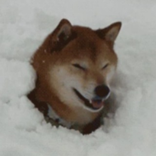 Зерновые поля