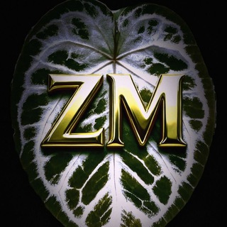 Зелёный Микс