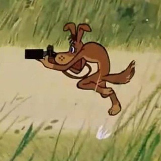 𝐳𝐞𝐱𝐬𝐢𝐥