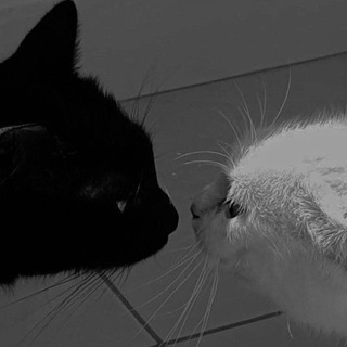 Standoff 2 | ЗакаТ