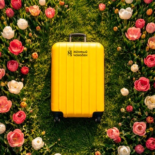 Жёлтый чемодан