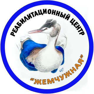Жемчужная Реабилитационный центр Официальный канал