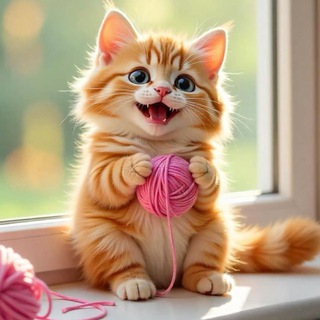 Женский юмор