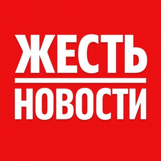 ЖЕСТЬ ВИДЕО | Новости 18+