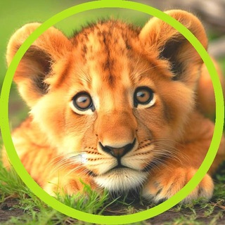 Новости О Животных🐾