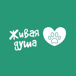 Приют для собачек💚ЖИВАЯ ДУША💚 ВАНИНО