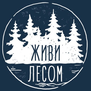 Живи Лесом | Аренда домов за городом