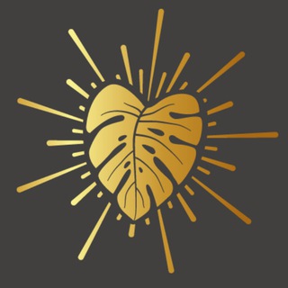 ЖИВЫЕ ЛИСТЬЯ @zhivielistya