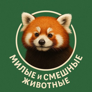 Милые и смешные животные