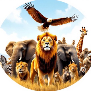 Животный Мир