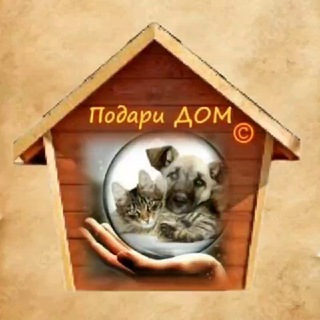 Подари животным дом. Сахалин.🐕🐈‍⬛️