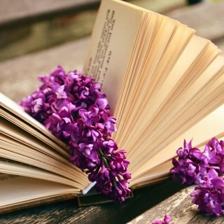 Жизнь в стихах. Наши мысли и чувства... Строчки из песен...