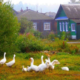 Жизнь в деревне