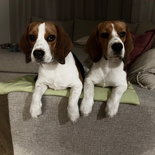 Жрулькин дом