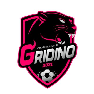 ФК «Гридино» Дрезна