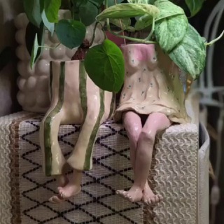 ЖИТЕЛИ ПОДОКОННИКА🪴