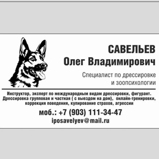 ЗНАТОК СОБАК ОНЛАЙН