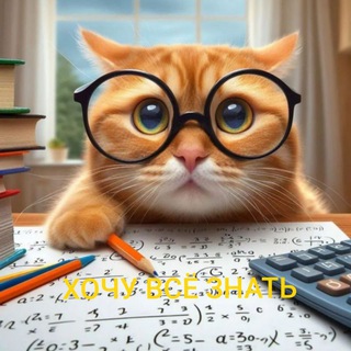 Я ХОЧУ ВСЕ ЗНАТЬ | Загадки для мозга 🧠