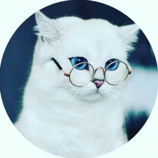 Мифы и факты