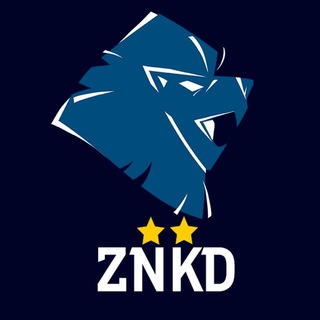 Дергачев о Зените